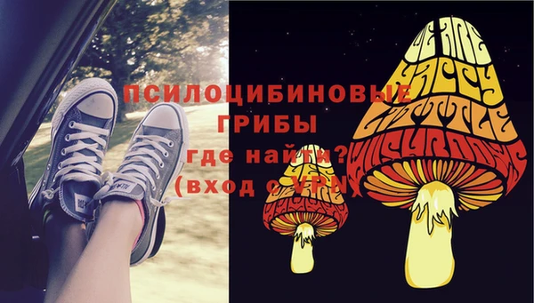 спайс Алексин