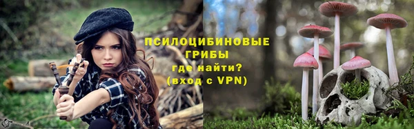 ALPHA PVP Алзамай