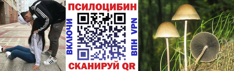 Галлюциногенные грибы MAGIC MUSHROOMS  Ковров 